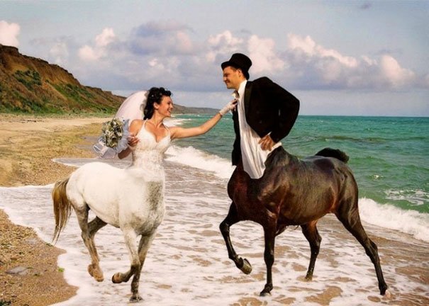 Now That's A Dream Wedding